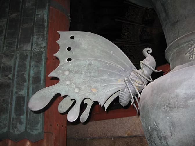 THE UNTOLD WORLD OF LEPIDOPTERA